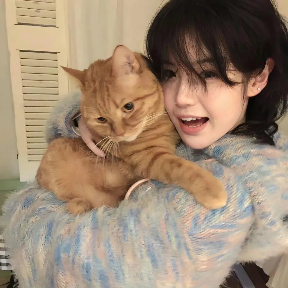 金鳞化龙掌乾坤